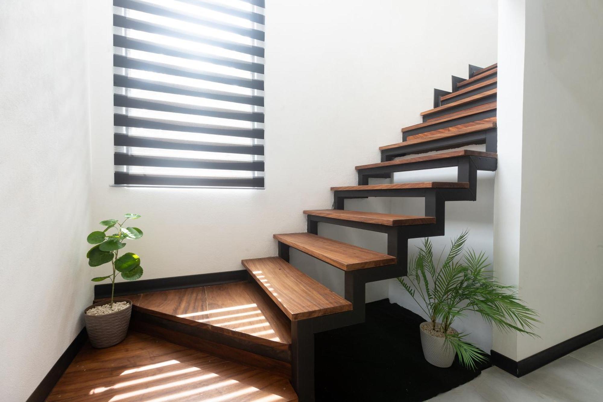 Casa Violeta Home Rentals Monteverde Dış mekan fotoğraf